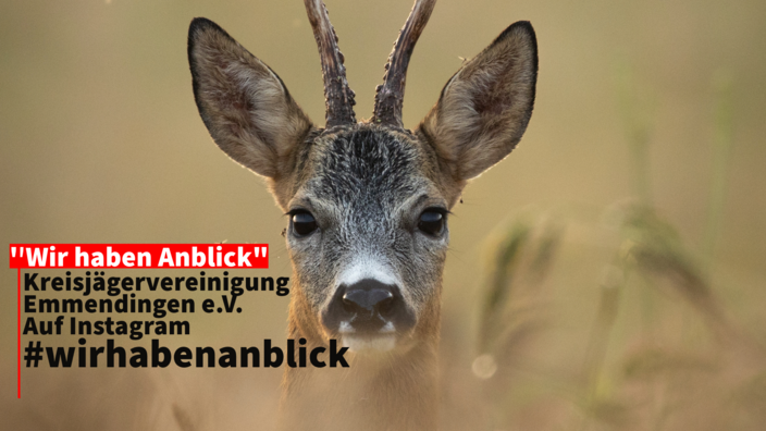 #wirhabenanblick