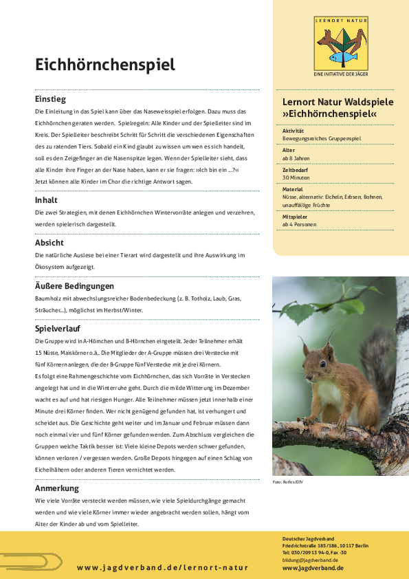 Waldspiel "Das Eichhörnchen" >> Hier Klicken !! pdf-preview